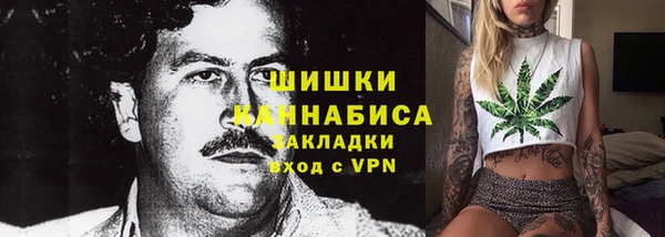 гидра Армянск