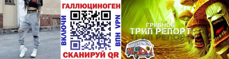 цены hydra Галлюциногенные грибы прущие грибы сайты даркнета формула Светлогорск